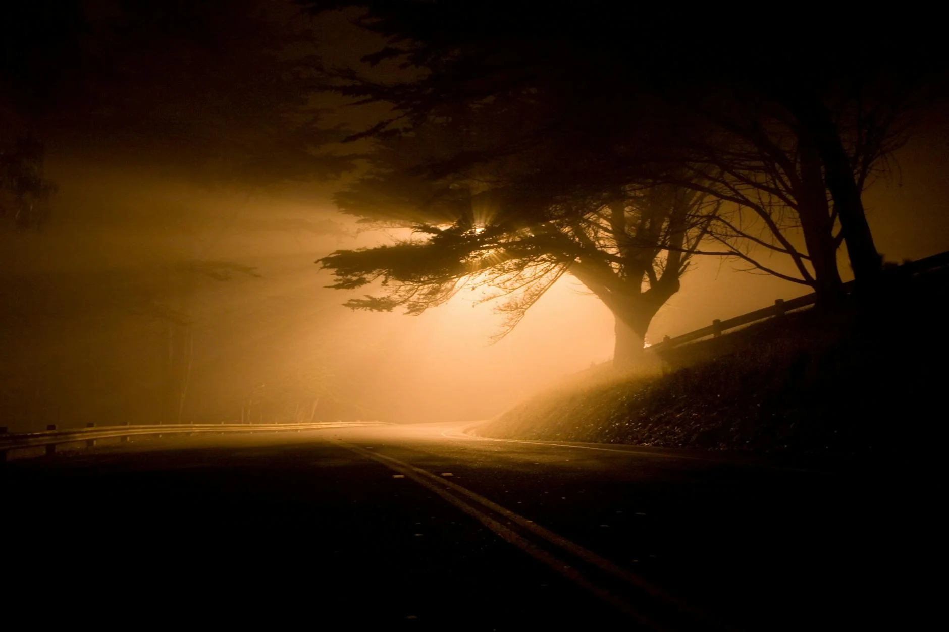 Need for Speed Carbon canyon road fog sunrise atmosphere